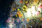 DSC02169.jpg